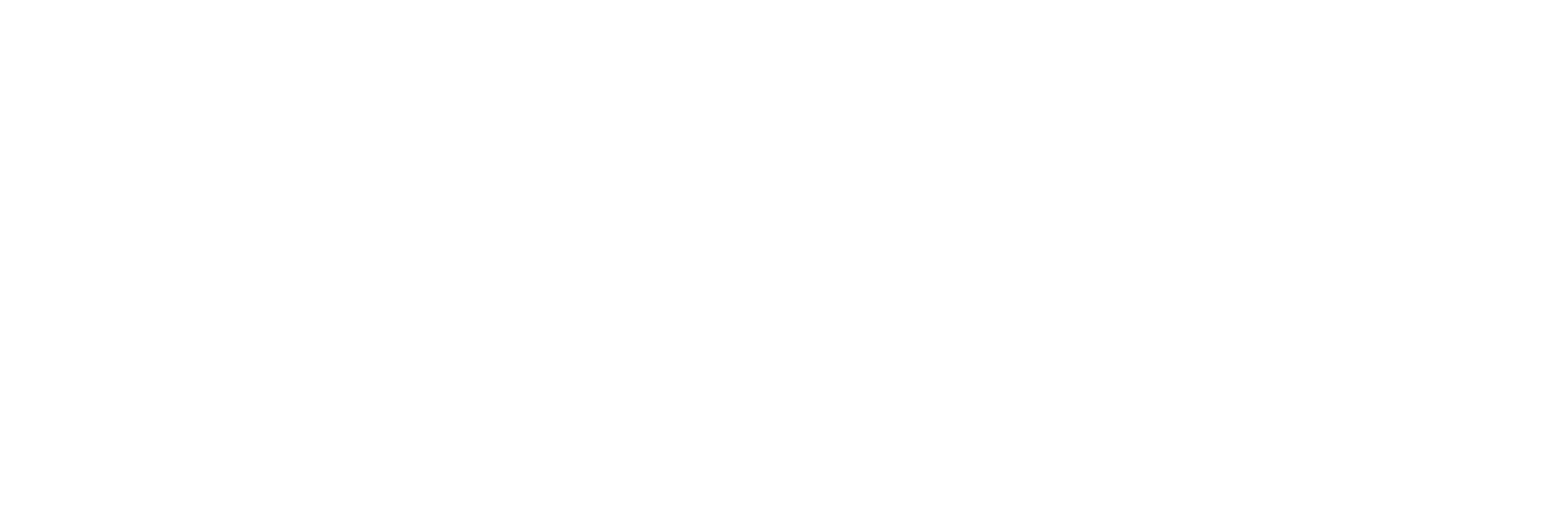 brightFAST Logo
